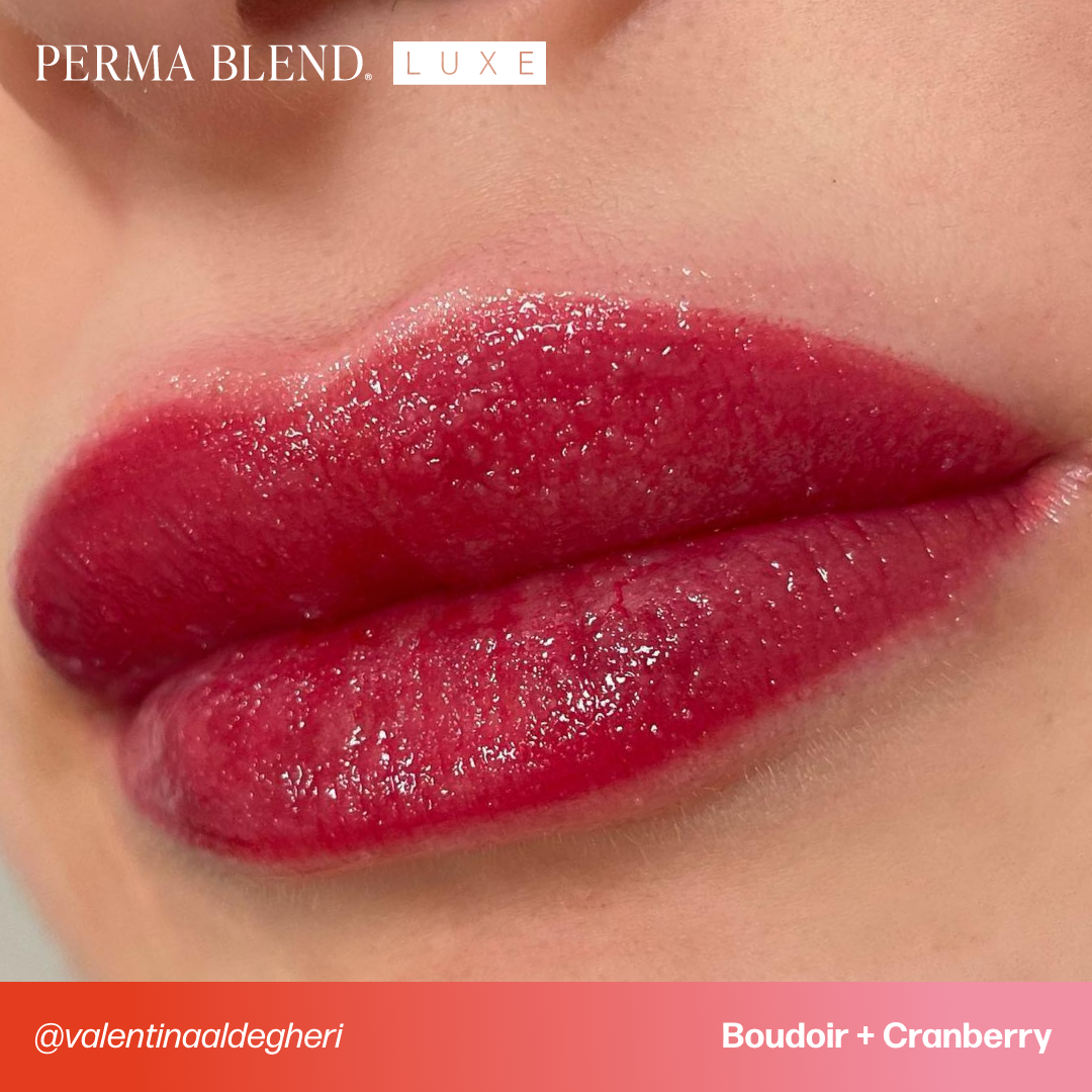 Perma Blend Luxe PMU Ink | Boudoir | Lips | 15 ml 