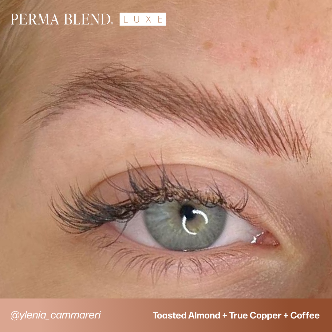Perma Blend Luxe PMU Ink | Coffee | Brows | 15 ml